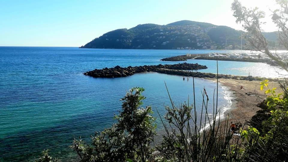Appartement 2 Pieces Le Gorecki - Residence Du Riou De L'Argentiere A Mandelieu La Napoule, Avec Piscine, Parking Et A Proximite De Tout! エクステリア 写真
